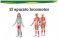 /album/fotogaleria-locomotor/images-2-jpg2/
